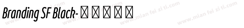 Branding SF Black字体转换